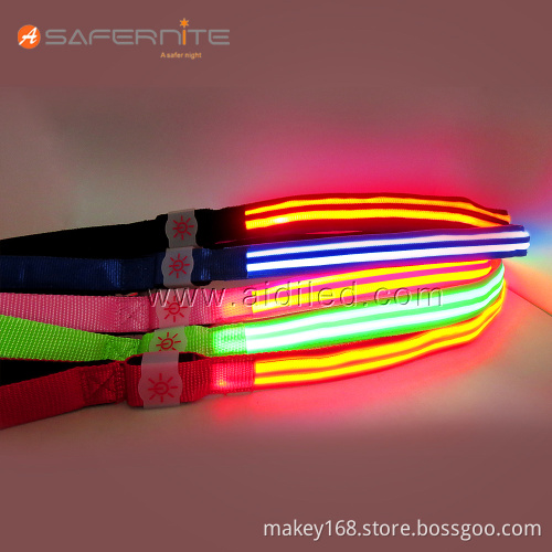 Best Led Illuminated Dog Collars And Lead Leashes